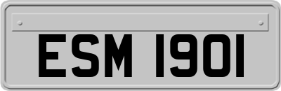 ESM1901