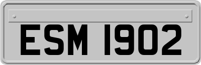 ESM1902