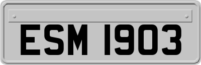 ESM1903