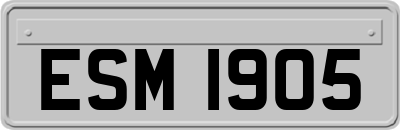 ESM1905