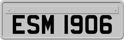 ESM1906