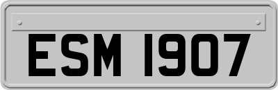ESM1907