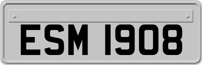 ESM1908
