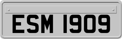 ESM1909
