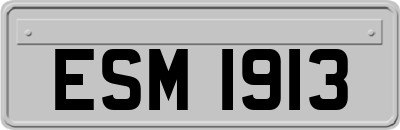 ESM1913