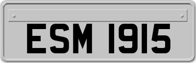 ESM1915