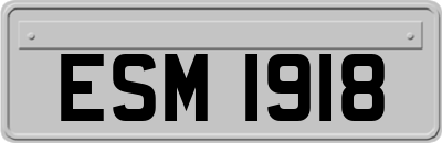 ESM1918