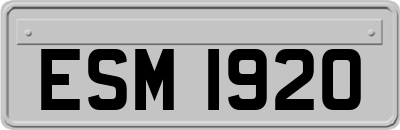 ESM1920