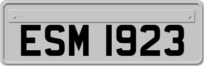 ESM1923