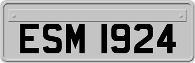 ESM1924