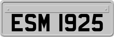 ESM1925