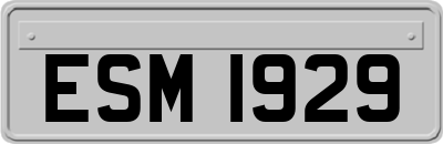 ESM1929
