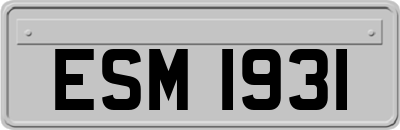 ESM1931