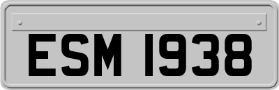 ESM1938