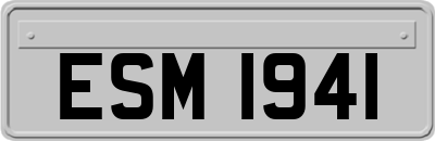 ESM1941