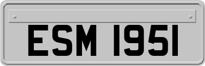 ESM1951