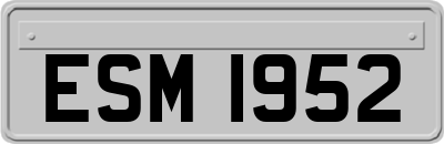 ESM1952