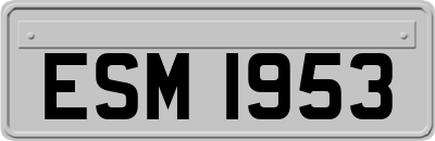 ESM1953