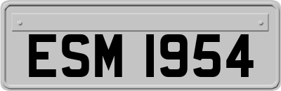 ESM1954