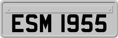 ESM1955