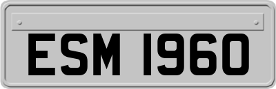 ESM1960
