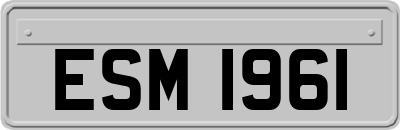 ESM1961