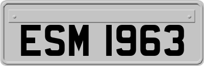ESM1963