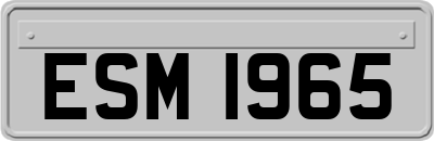 ESM1965