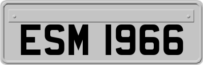 ESM1966