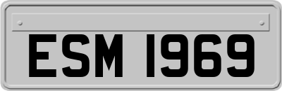 ESM1969