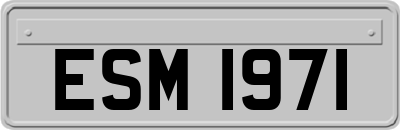 ESM1971