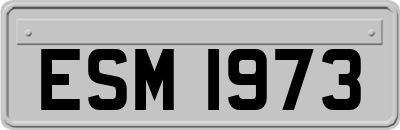 ESM1973