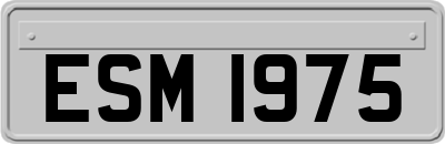 ESM1975