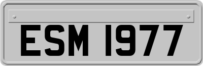 ESM1977