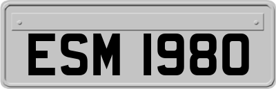 ESM1980