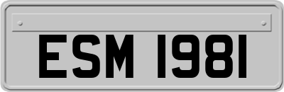 ESM1981