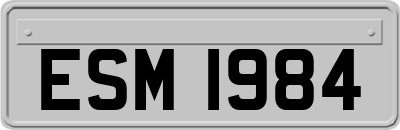 ESM1984