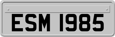 ESM1985
