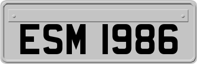 ESM1986