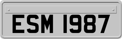 ESM1987