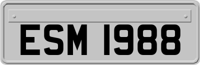 ESM1988