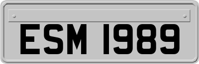 ESM1989