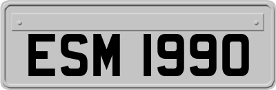 ESM1990