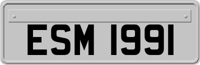 ESM1991