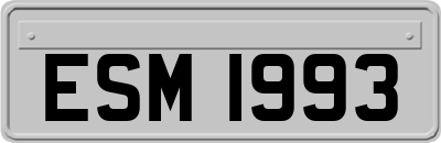 ESM1993