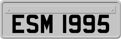 ESM1995