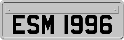 ESM1996
