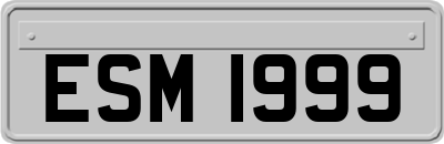 ESM1999