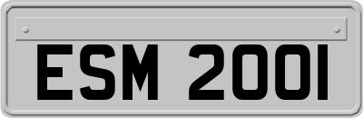 ESM2001