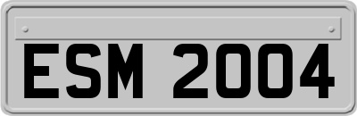 ESM2004